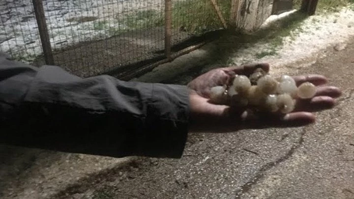 Μεγάλες ζημιές στην Αρκαδία από την χαλαζόπτωση (βίντεο)